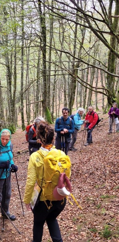 Personas en el puente de las Csscadas de Triberg en La Selva Negra
