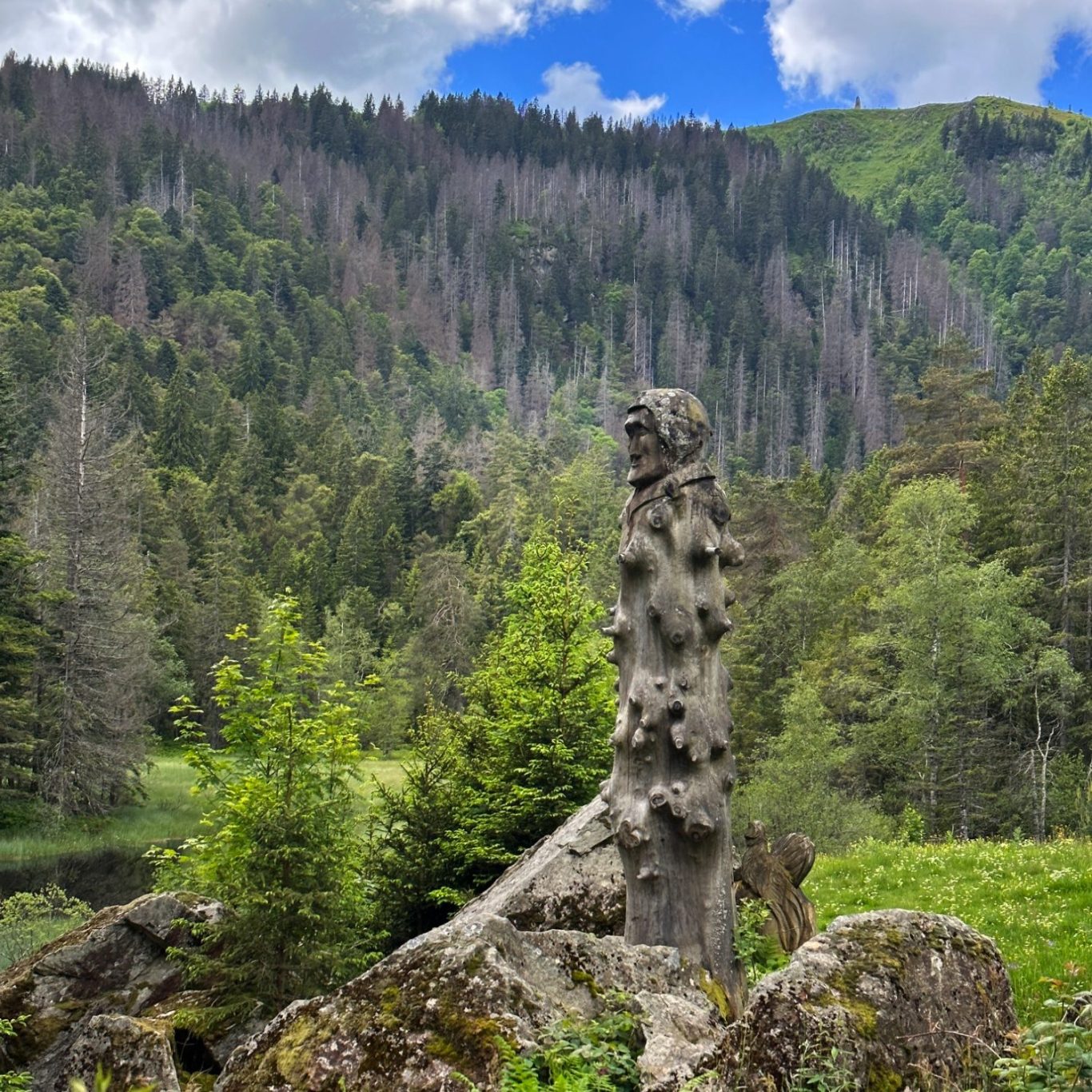 Macizo de la Selva Negra